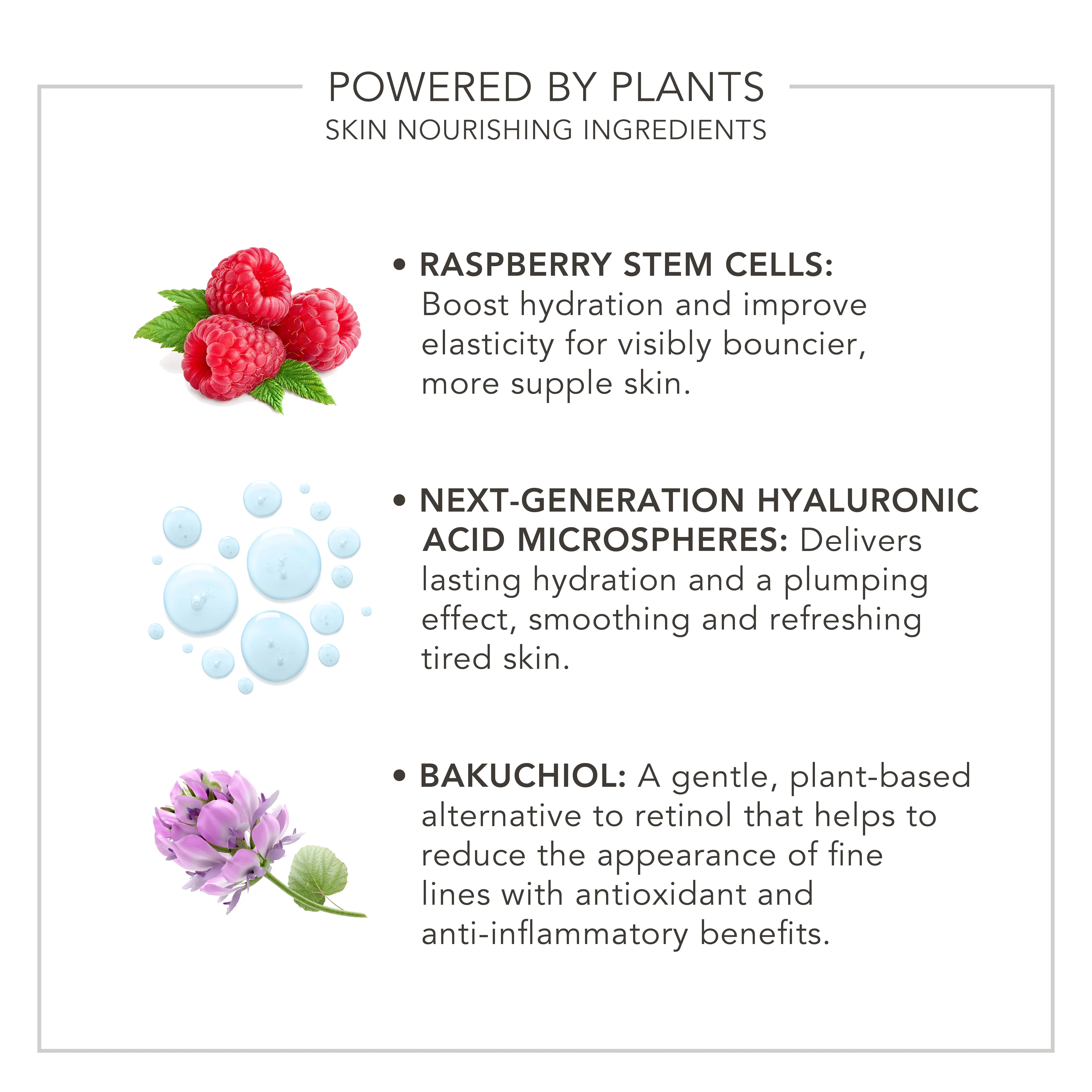 Wake Up | Radiant Elixir - Image 3