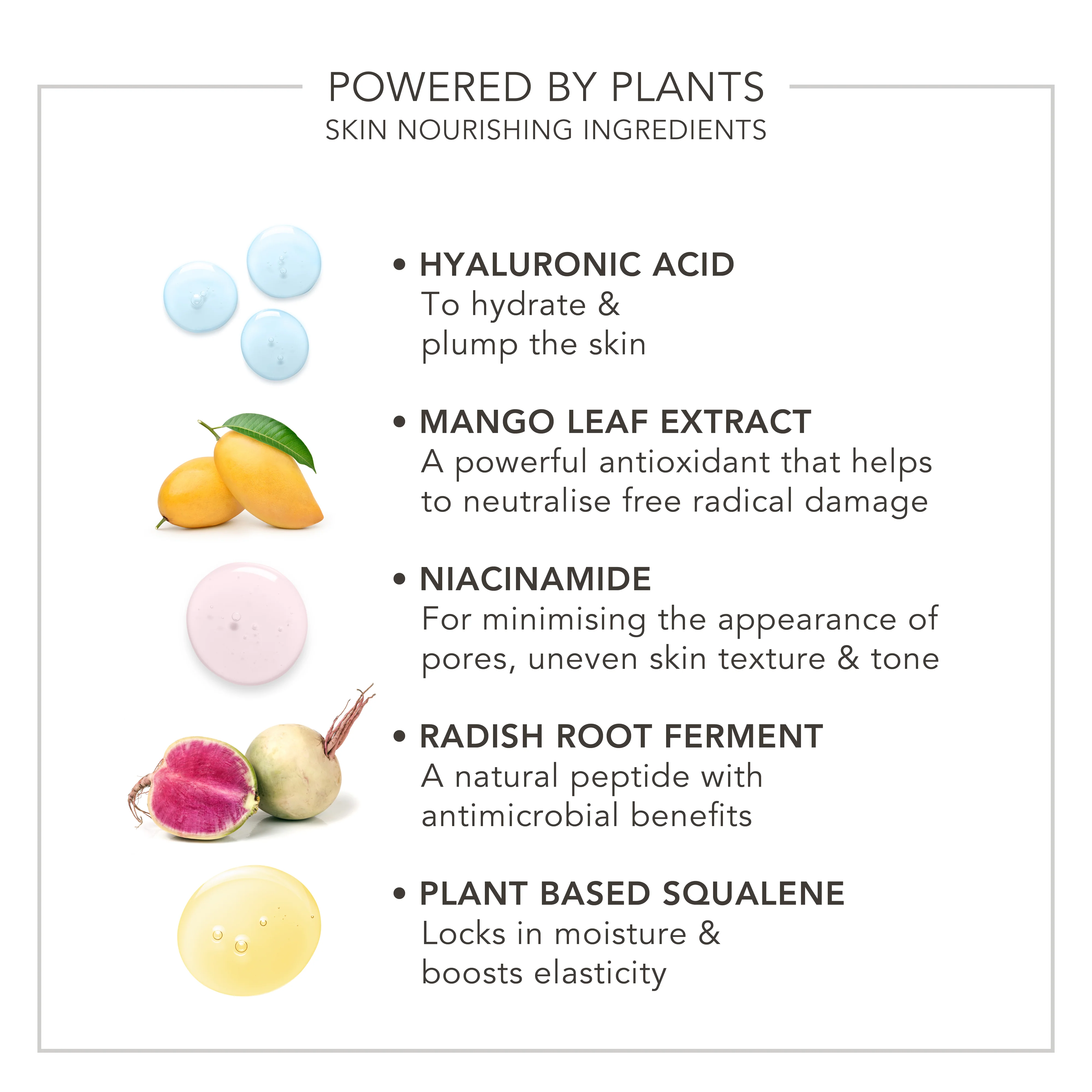 Wake Up | Radiant Skin Tint - Image 22